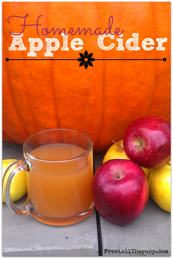 Homemade Apple Cider