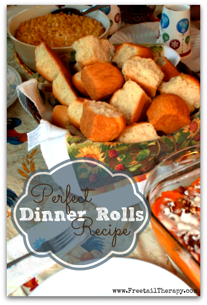 perfect dinner rolls