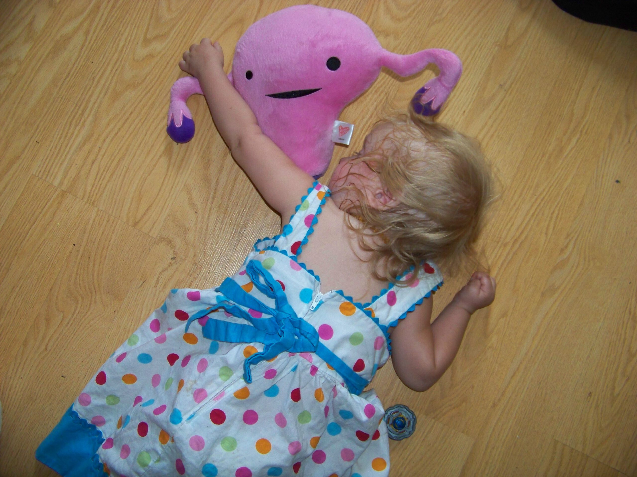 BlogHer nightmares and plush uterus toys