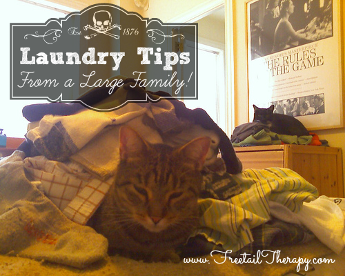 Laundry Tips from a Large Family!