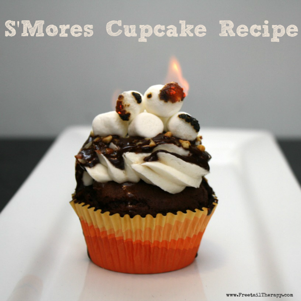 Smores Cupcakes