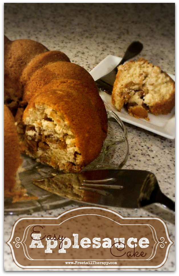 Easy Applesauce Cake Recipe