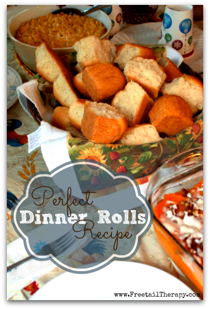 Perfect Dinner Rolls Recipe