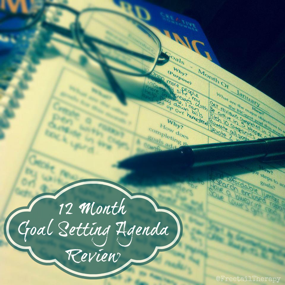 12 Month Goal Setting Agenda Review