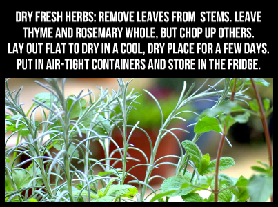 Storing Fresh Herbs