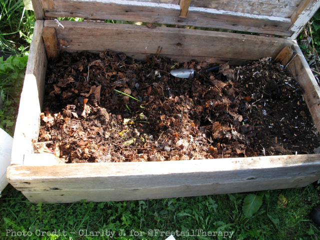 The Benefits of Worm Composting