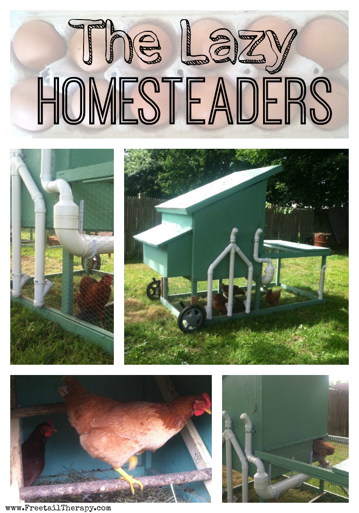 We are lazy homesteaders