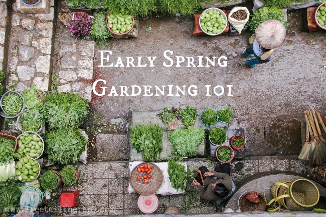 Early Spring Gardening 101