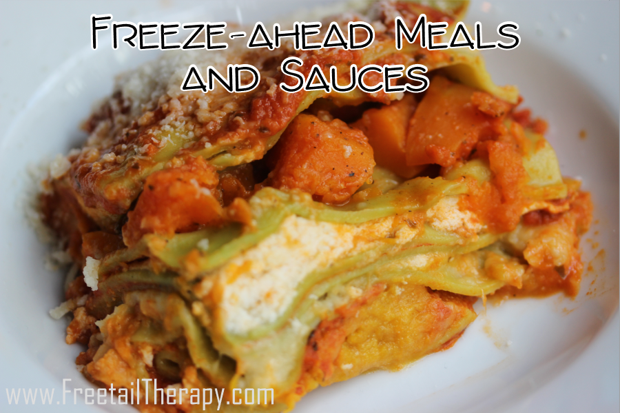 Freeze-ahead Meals and Sauces