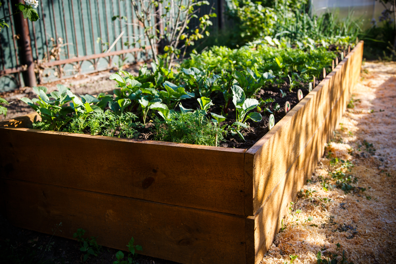 How to Build a Garden Box: Square Foot Gardening