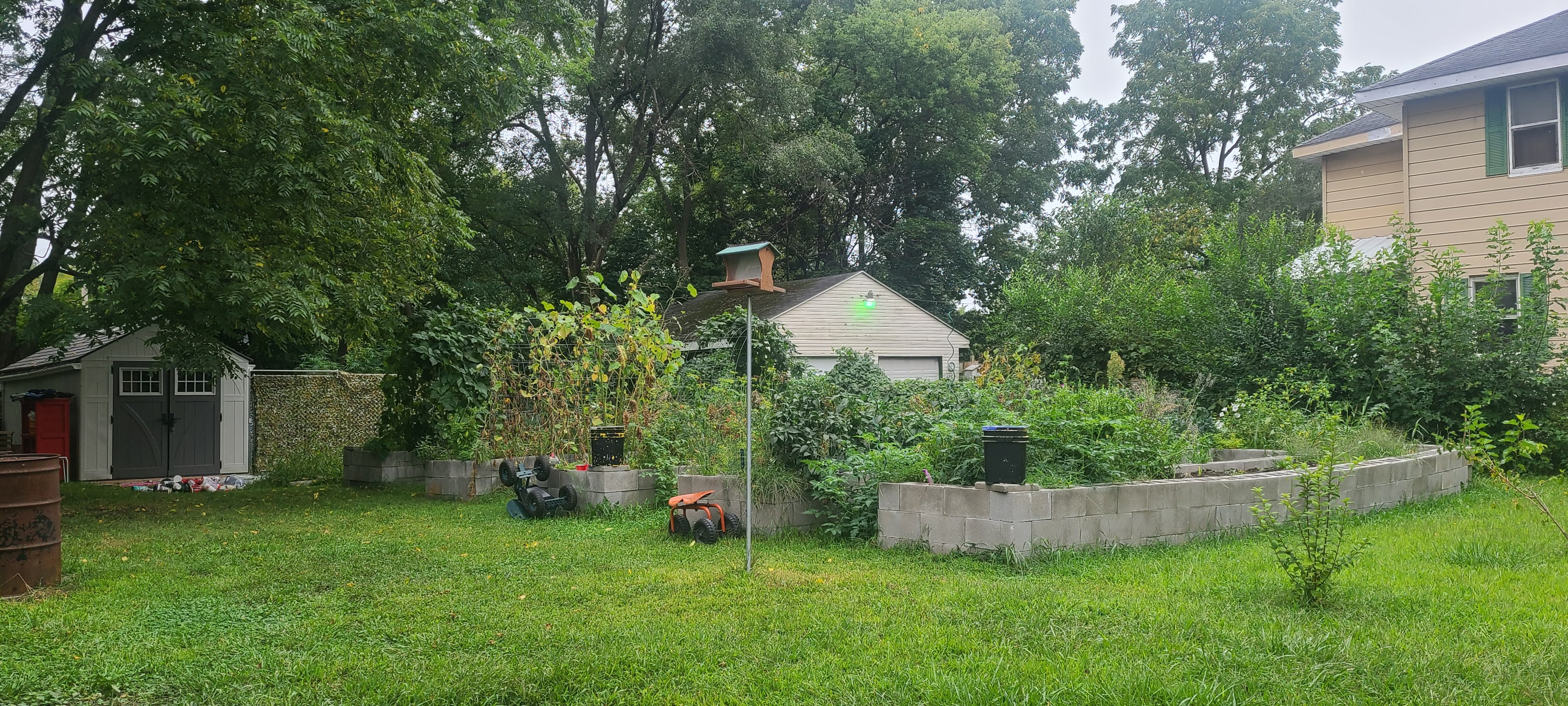 Backyard Gardening: How to Grow Food in Small Spaces